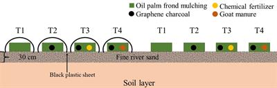 Utilization of graphene as an alternative sustainable amendment in improving soil health through accelerated decomposition of oil palm mulch and enhanced nutrient availability
